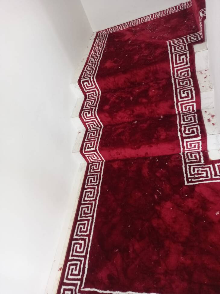 Staircase Velvet Carpet - Image 3